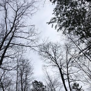 Meet your Posher, Lynn